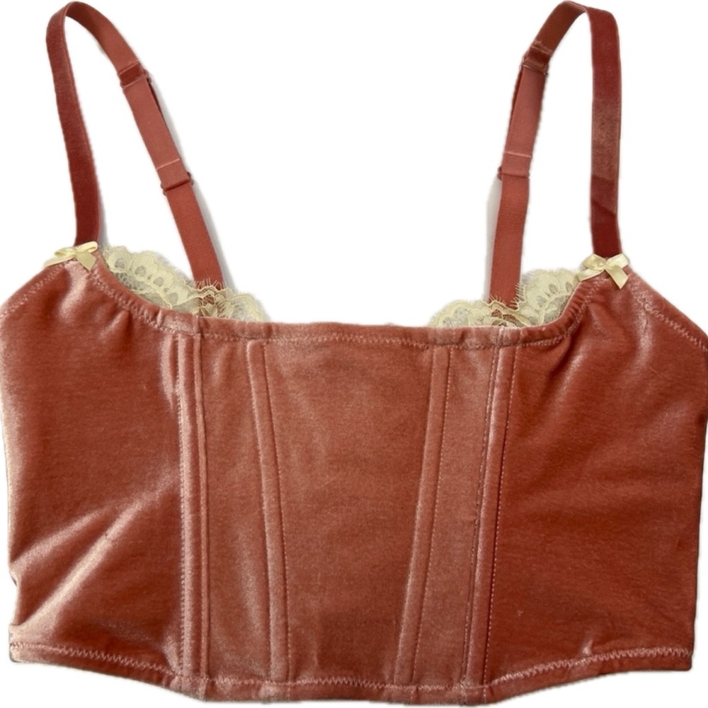 SKIMS Velour Velvet Lace Corset Terracotta